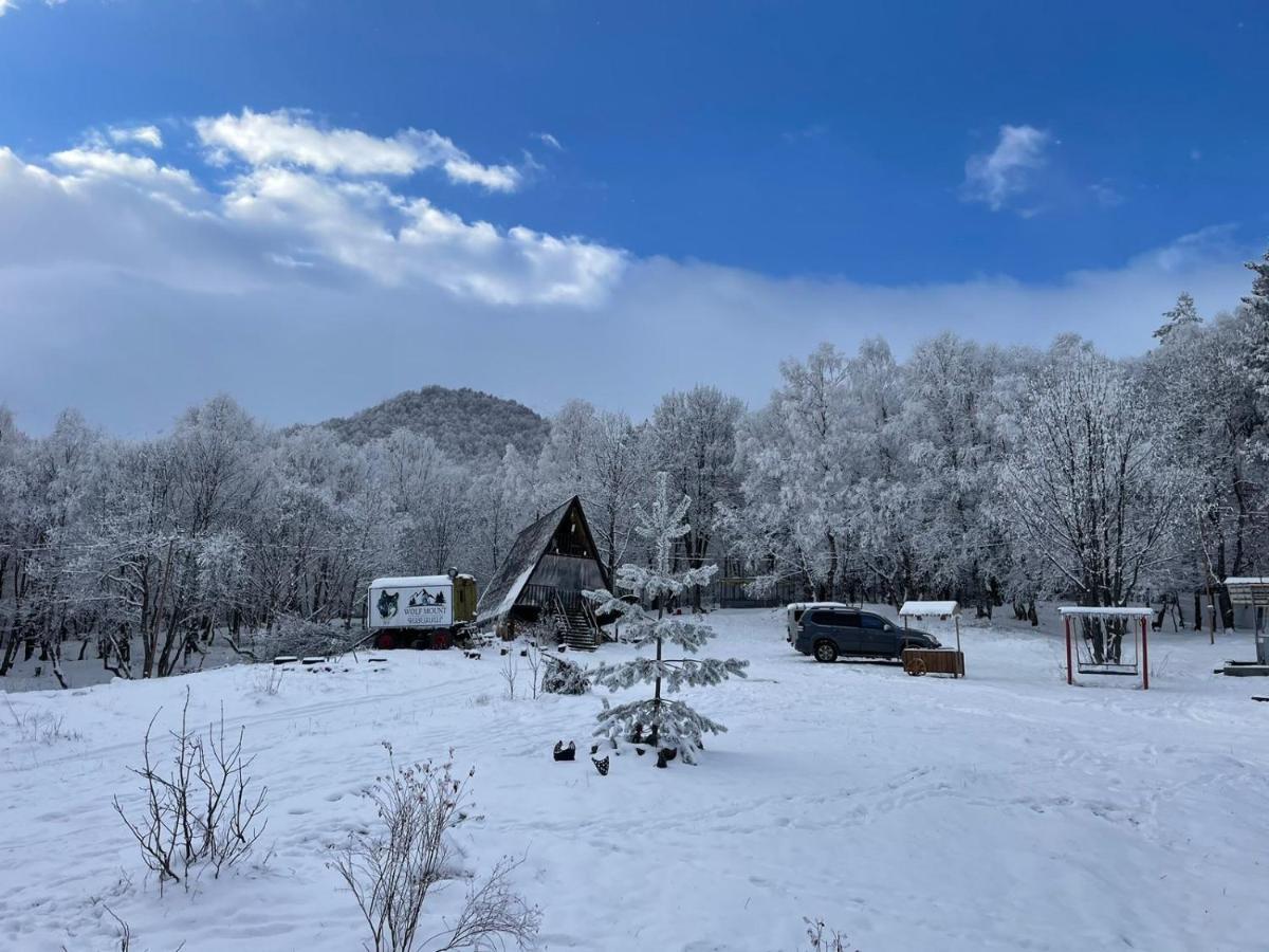 MargahovitGlamping Wolf Mount别墅 外观 照片