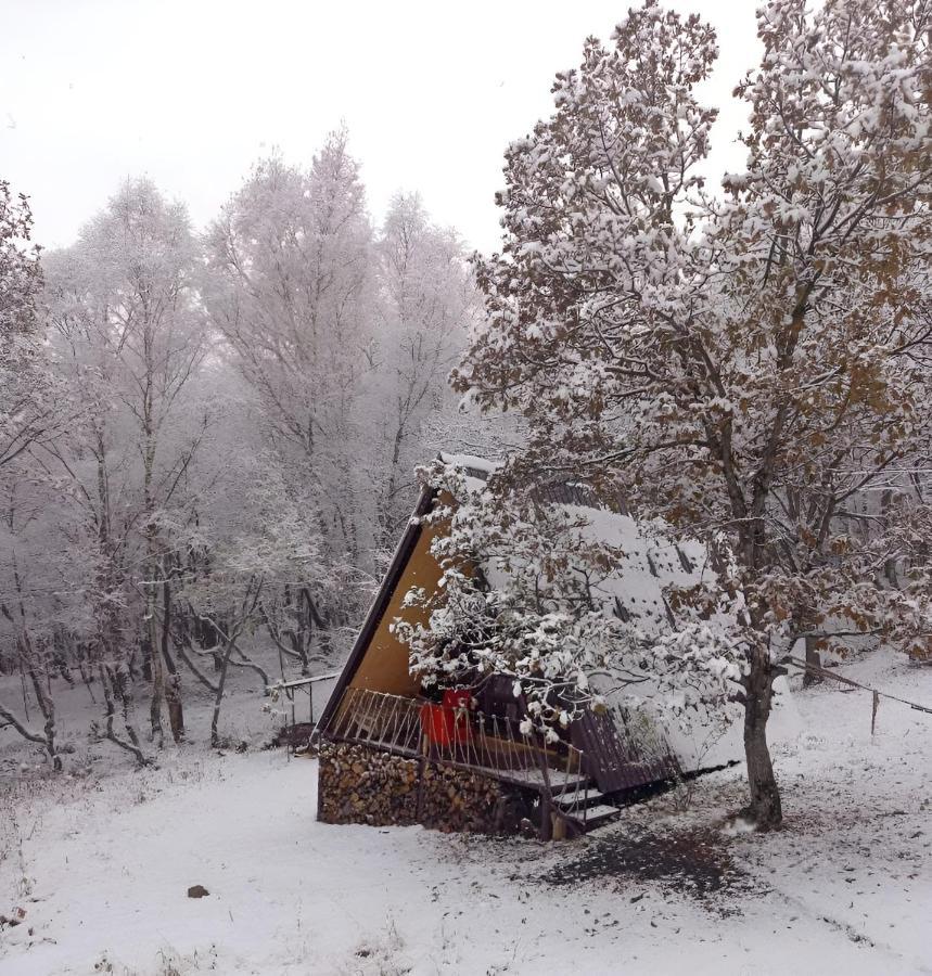 MargahovitGlamping Wolf Mount别墅 外观 照片